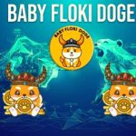 Baby Floki Coin